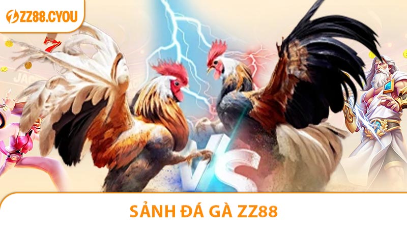 Sảnh Đá Gà ZZ88 - Thiên đường cho anh em mê cá độ