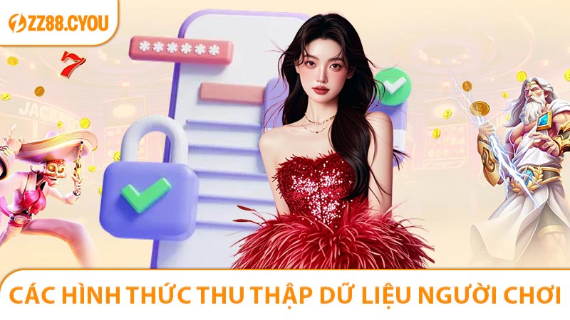 Các hình thức thu thập dữ liệu người chơi hợp pháp ở ZZ88